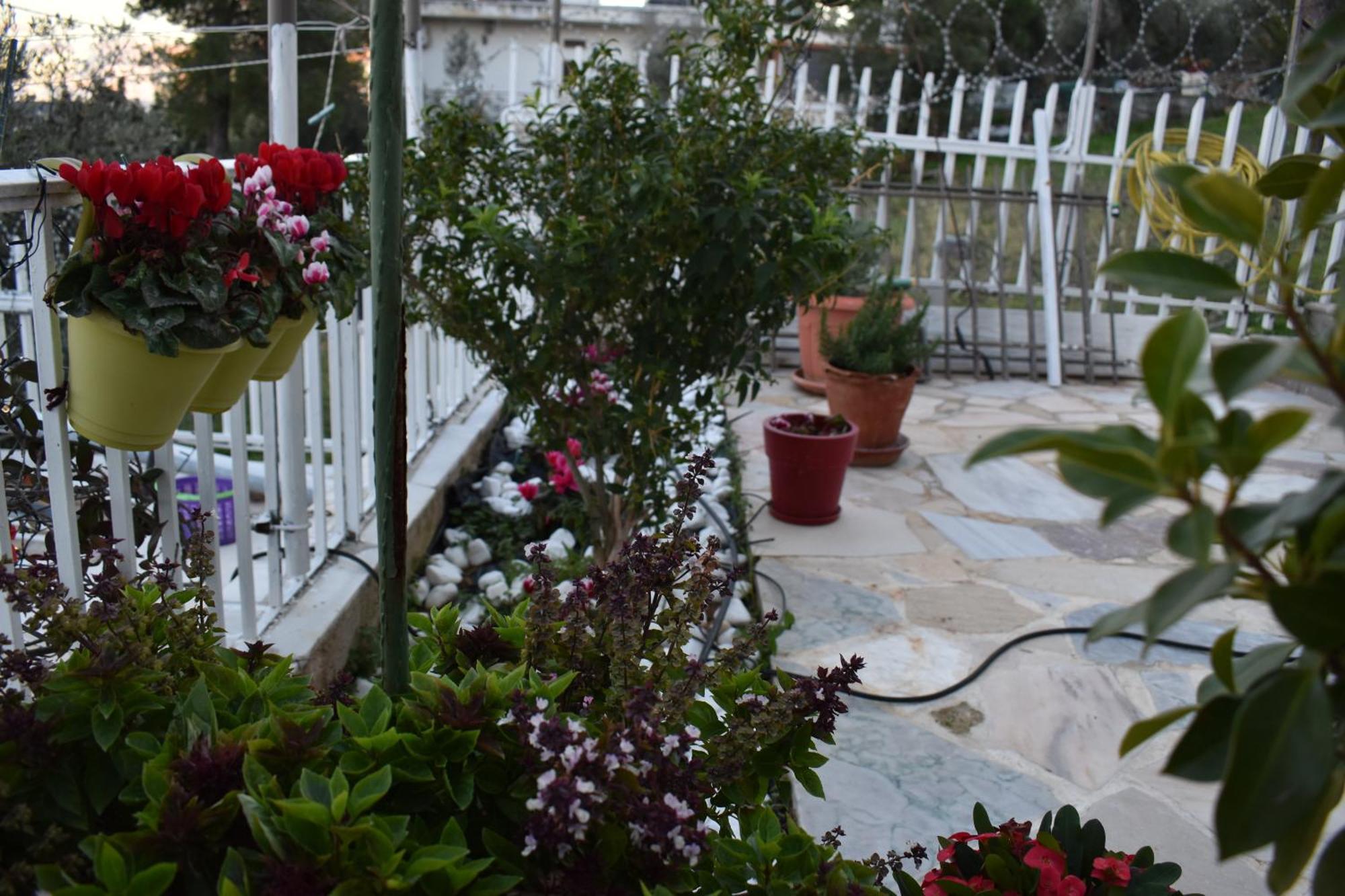 Apartamento Panorama Γλυκά Νερά - Athens Exterior foto